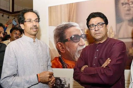 Thackeray brothers will jointly hold one anti-Hindi protest: Sanjay Raut