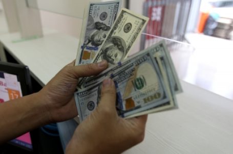 US Senate reduces remittance tax to 1 pc from 3.5 pc in relief for NRIs