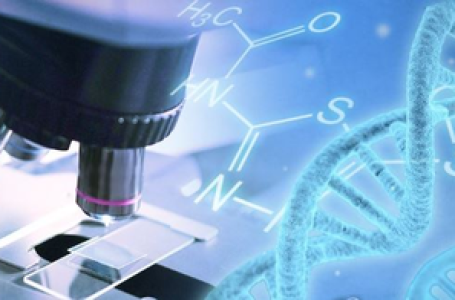 3-person IVF technique gives life to 8 babies with no mitochondrial disease in UK