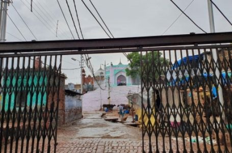 Allahabad HC rejects plea to declare Shahi Idgah mosque as disputed structure