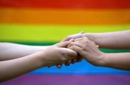 Delhi HC seeks Centre’s reply on plea to recognise same-sex partners in medical treatment