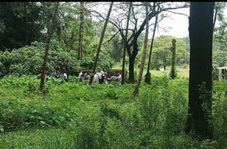 Dharmasthala mass grave case: SIT recovers bones at 6th burial site