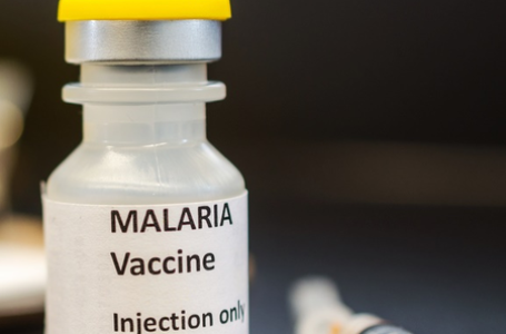 India developing indigenous multi-stage Malaria vaccine ‘AdFalciVax’