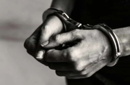 Nirav Modi’s brother Nehal arrested in US on extradition request from India