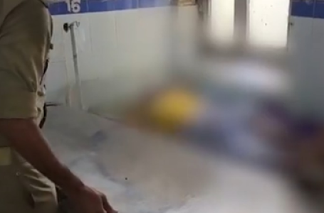 Six killed in Mansa Devi stampede