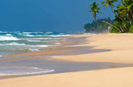 UNESCO adds Guinea-Bissau’s Bijagos Archipelago to World Heritage list