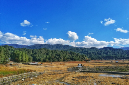 With 79 pc forest cover, Arunachal contributes big to India’s carbon sequestration, says CM Khandu