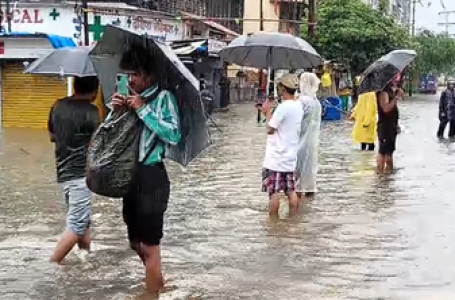 8 die as rain batters Maharashtra; heavy forecast in Mumbai, Thane, Palghar