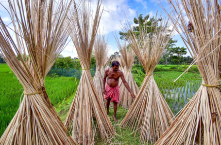 India bans imports of more goods from Bangladesh