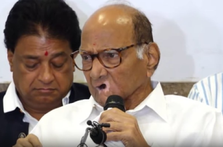 Pawar alleges offer to ‘fix’ 160 Assembly seats, Fadnavis rubbishes claim
