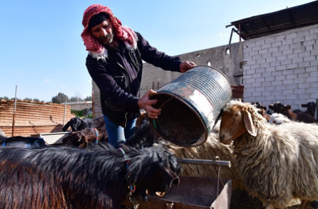 Syria hit by worst drought in decades, UN warns of deepening hunger crisis