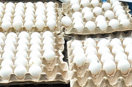 US tariffs leaves Rs 20 crore egg consignment stranded in TN’s Namakkal