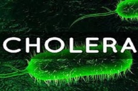 WHO warns of worsening global cholera outbreaks, urging swift response