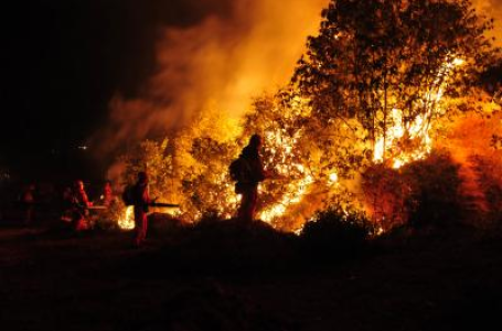 Wildfires in Spain signal growing climate risks for Europe, expert warns