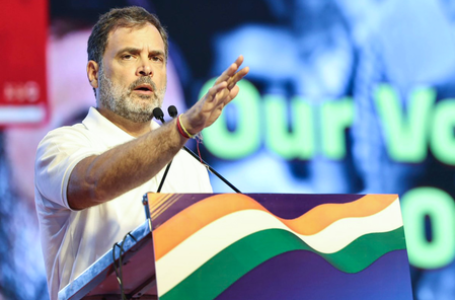 ‘Critical to expose Voter Chori’: Rahul Gandhi launches website for public support