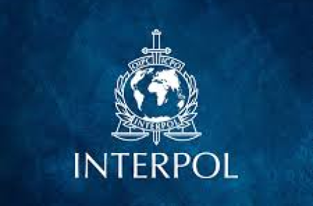 Global policing: India elected to Interpol Asian Committee