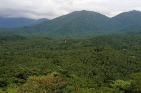 IIT Kharagpur study shows a steady decline in the country’s forest health