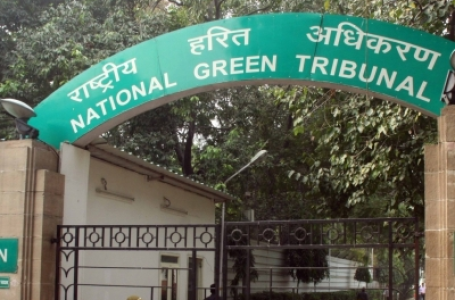 NGT takes suo motu cognizance of report linking well water to brain-eating amoeba cases
