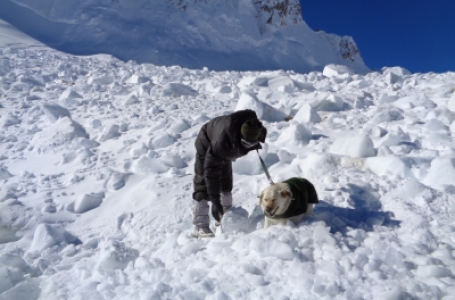 Three soldiers killed in Siachen avalanche
