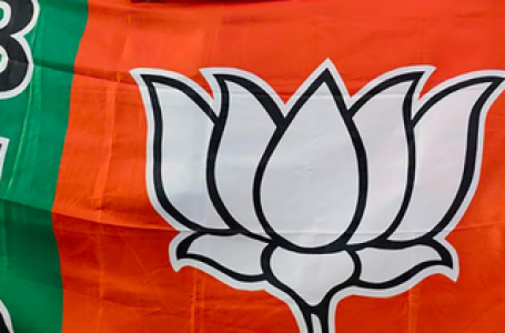 Bihar polls: BJP announces first list of 71 candidates; Deputy CMs and former Deputy CMs among key picks