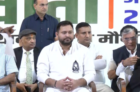Bihar polls: Mahagathbandhan finally declares Tejashwi Yadav as CM face