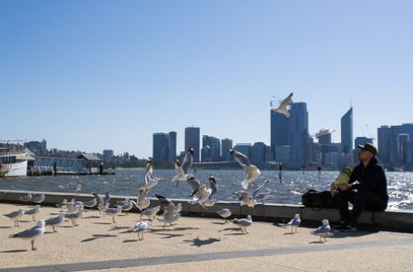 Climate Change linked to nearly 100,000 deaths from 2023 Heatwaves, global study finds