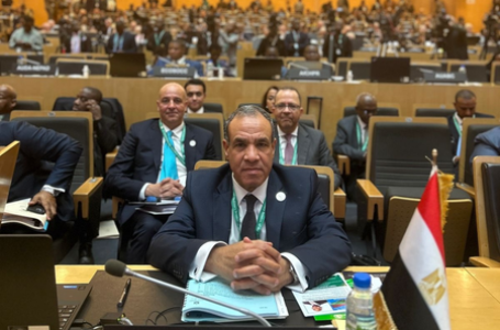 Countries ignored our warning about Muslim Brotherhood, played with fire: Egyptian FM Abdelatty