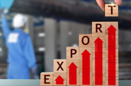 India’s steady export growth in H1 FY26 reflects strong resilience, global competitiveness: FIEO