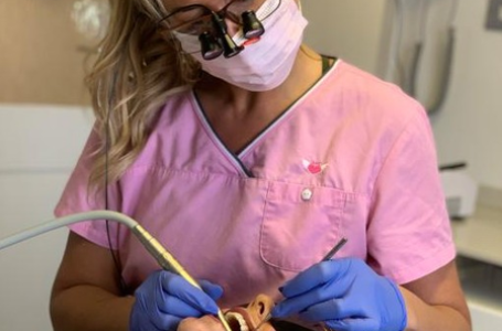 New stem cell studies find mechanism for regenerating lost teeth