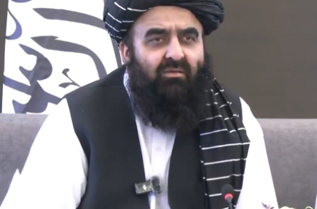 Some individuals in Pakistan try to worsen situation: Afghanistan FM Muttaqi