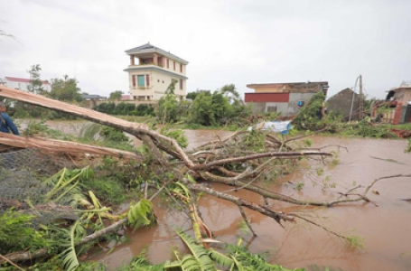 Typhoon Bualoi leaves 51 dead in Vietnam