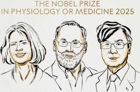 US, Japanese scientists awarded 2025 Nobel Prize for Medicine for discovery on immune system
