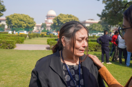 ‘August 11 order returns’: Supreme Court advocates on stray dog removal directive