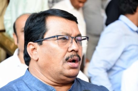 File criminal cases against those involved in embezzling crores of rupees in Pune land scam: Congress writes to Maha CM