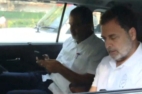 Rahul Gandhi renews ‘vote theft’ charge, vows to make more revelations