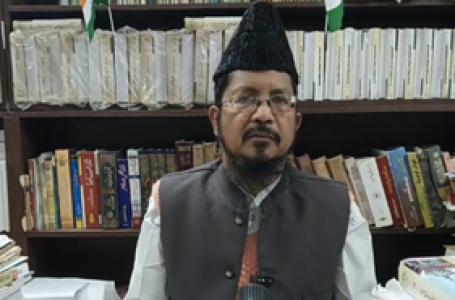 ‘Against fundamentals of Islam’: Maulana Shahabuddin after Dr Umar justifies bombing in video