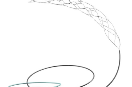 AIIMS-led trial on most advanced brain stent shows promise for stroke patients