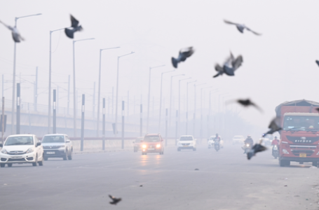 Air pollution can heighten anxiety and trigger panic-like symptoms: Doctors