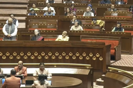 Centre confirms mistreatment of Indian deportee from US, rejects handcuff claim in Rajya Sabha