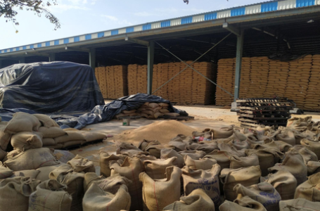 Irradiation to solve India’s food storage issues, Rs 1,000 crore support extended