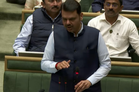 Maha govt to invoke MCOCA against illegal gutka trade, announces CM Fadnavis