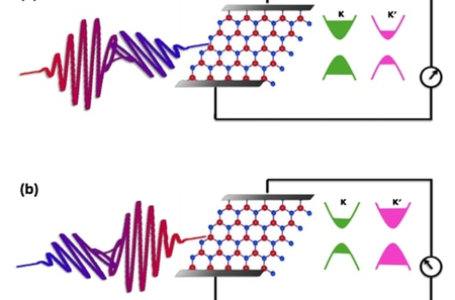 Single light pulse can control quantum states in 2D materials: IIT Bombay